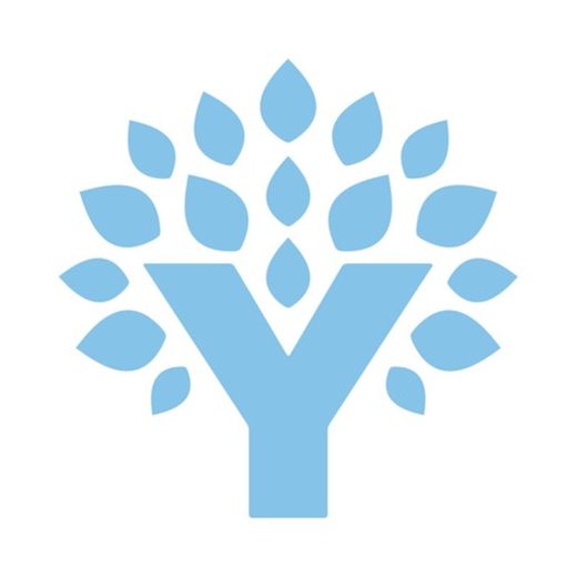 YNAB (You Need A Budget)