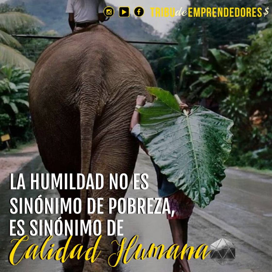 Social TRIBU DE EMPRENDEDORES $ 