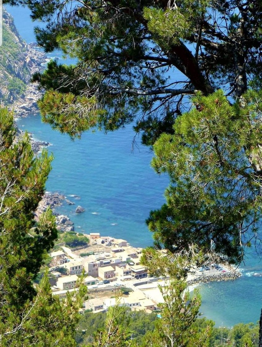 Lugar Port de Valldemossa