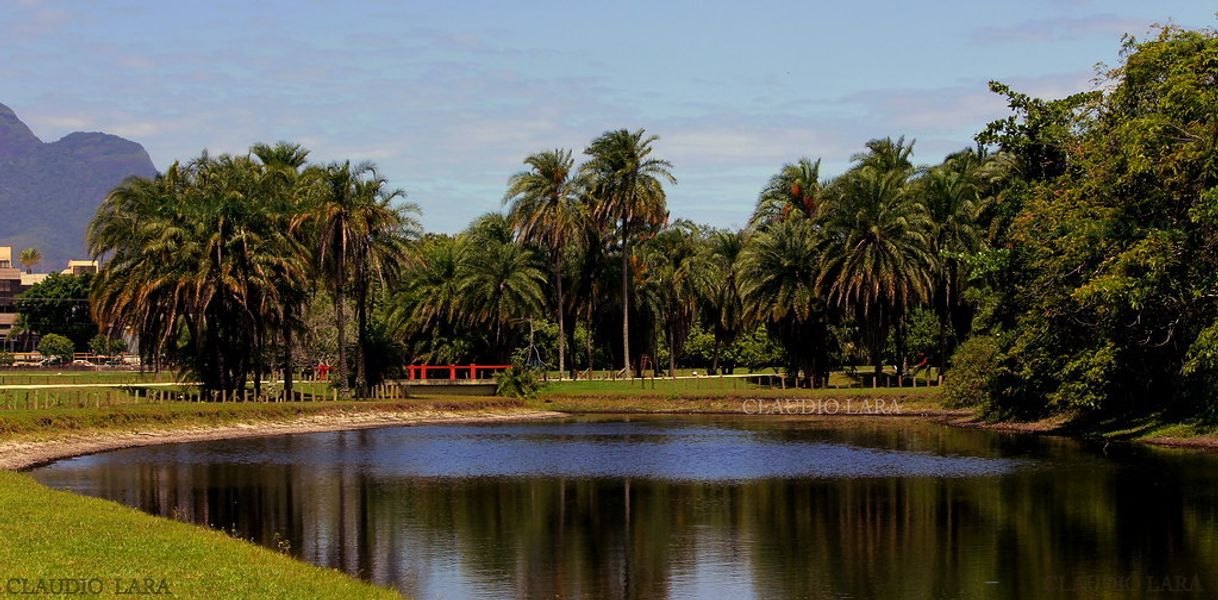 Restaurants Bosque da Barra