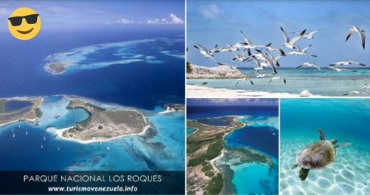 Los Roques Travel