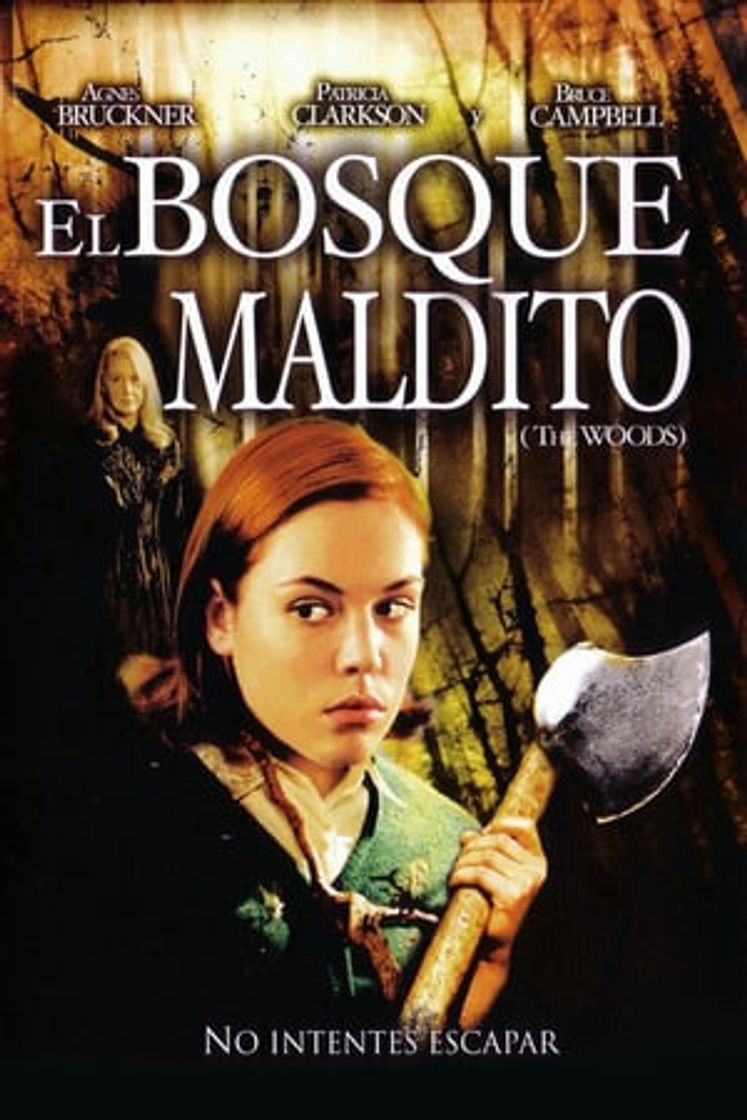 Película El bosque maldito