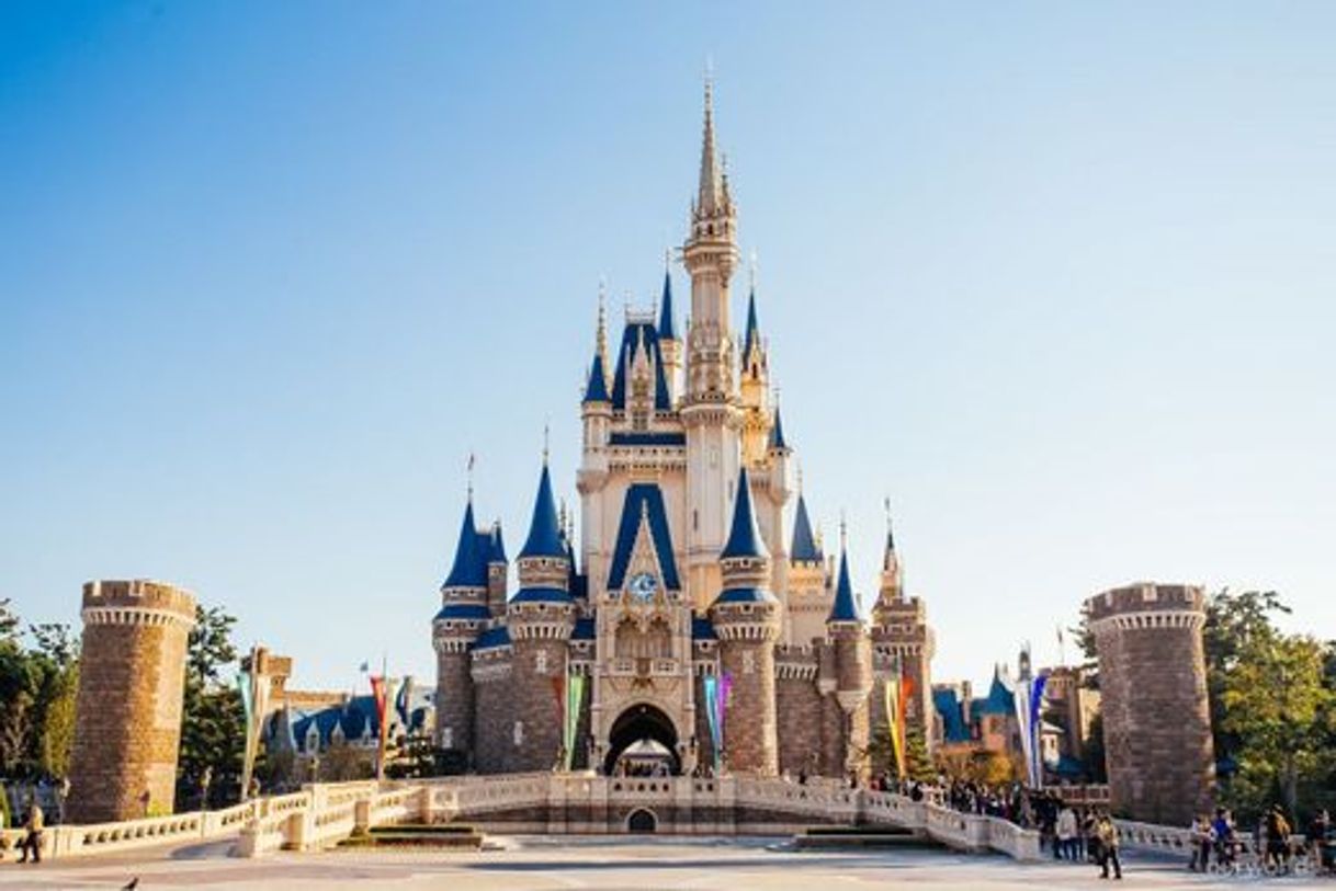 Lugar Tokyo Disneyland