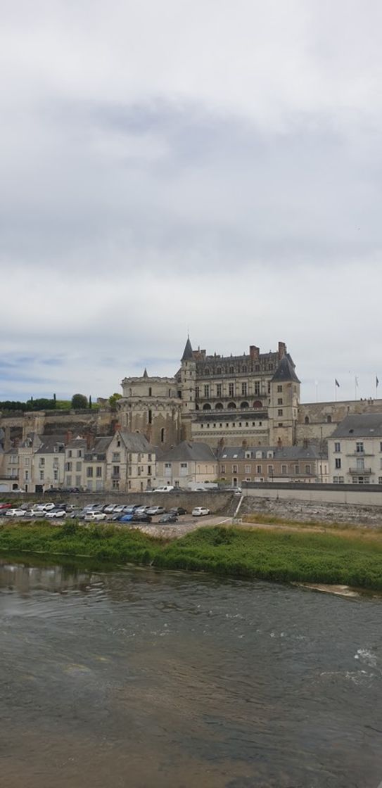 Lugar Castillo Real de Amboise