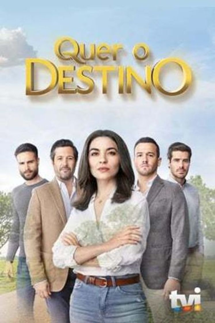 Serie Quer o Destino