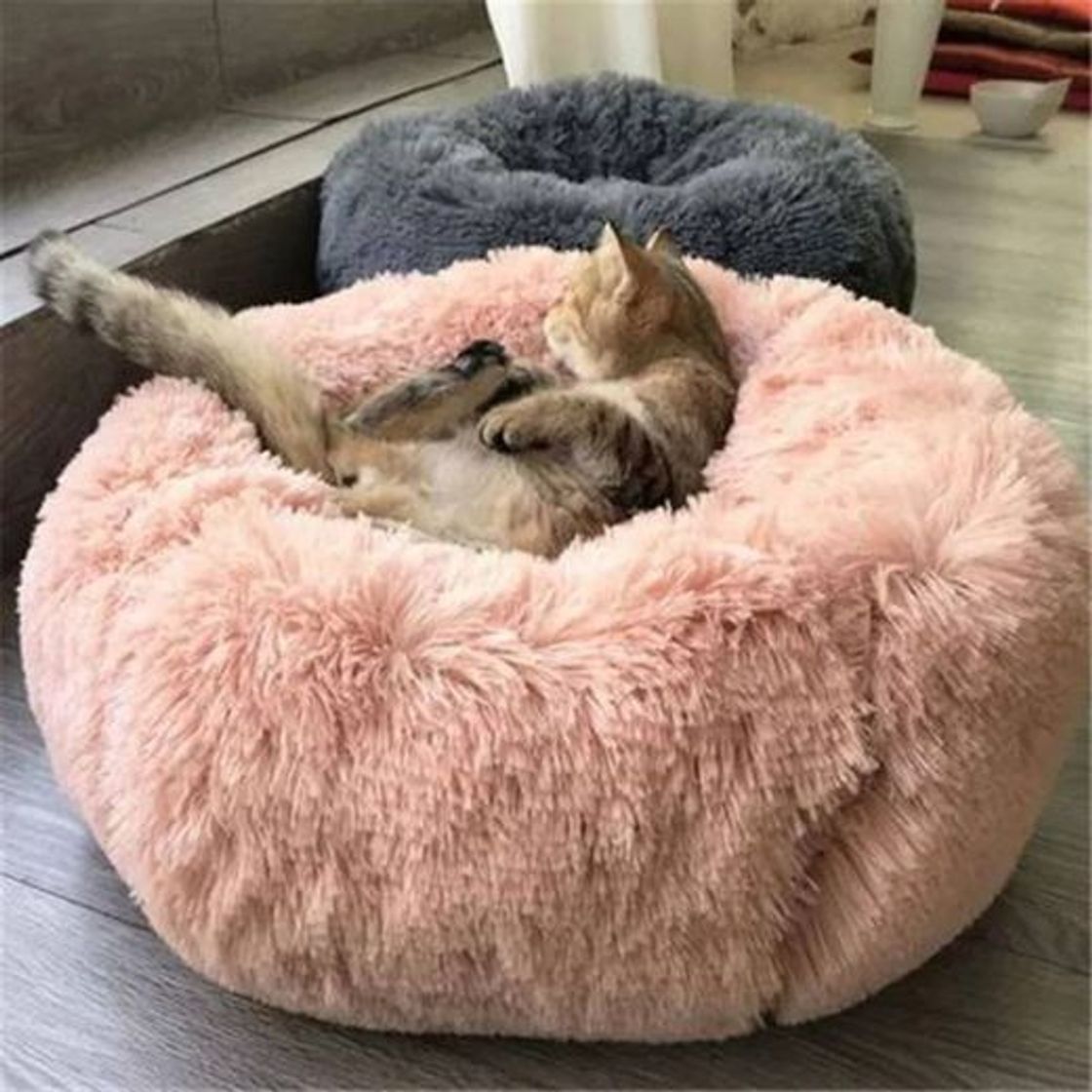 Product 💠CAMA PARA MASCOTAS💠