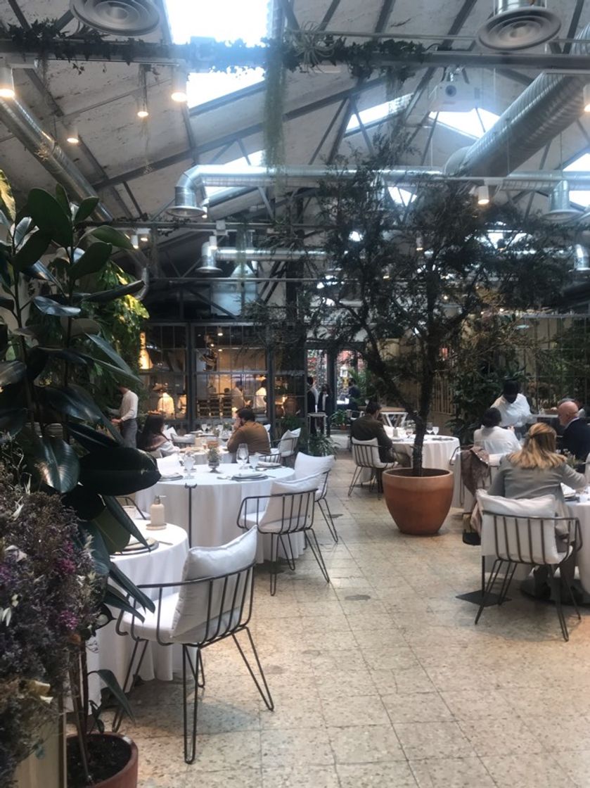 Social REST. OVILLO (Pantoja, 8)