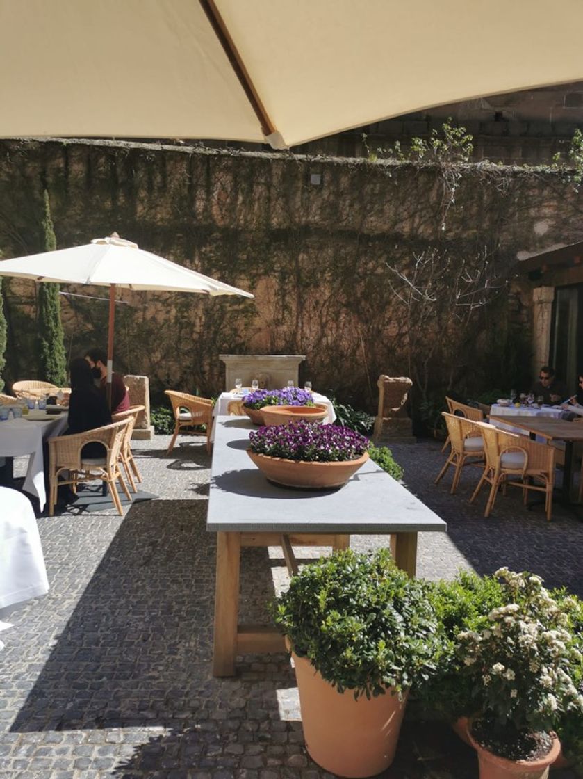 Social REST. TORRE DE SANDE (Caceres)