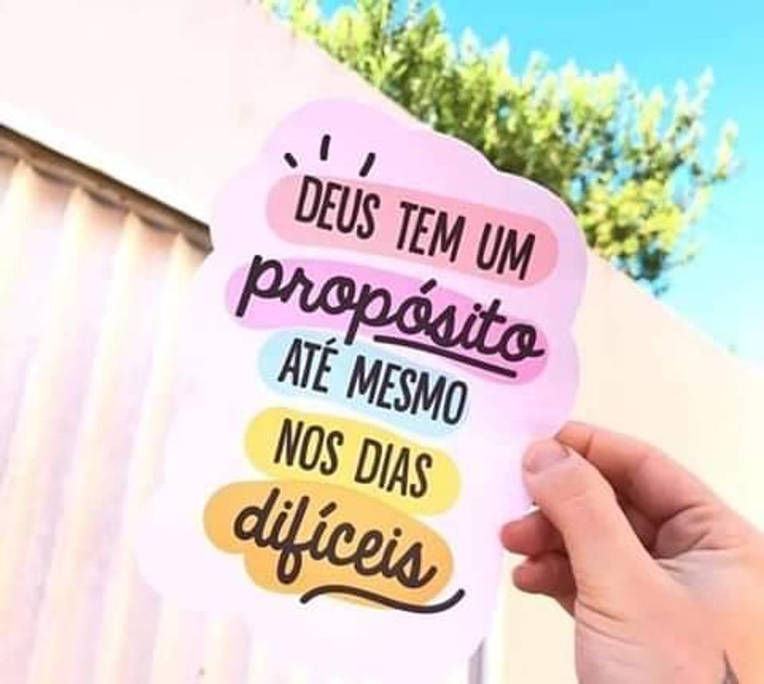 Fashion frases e versos