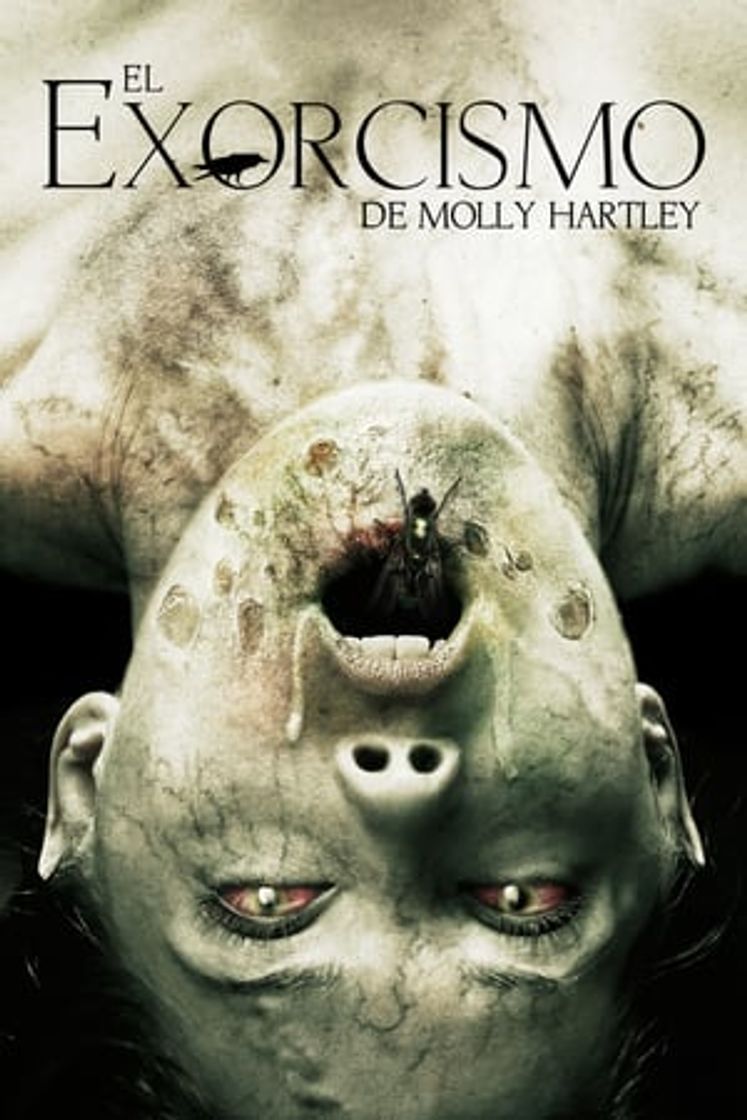 Película El exorcismo de Molly Hartley