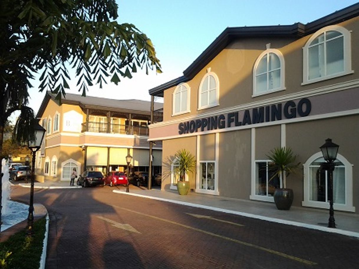 Place Shopping Flamingo