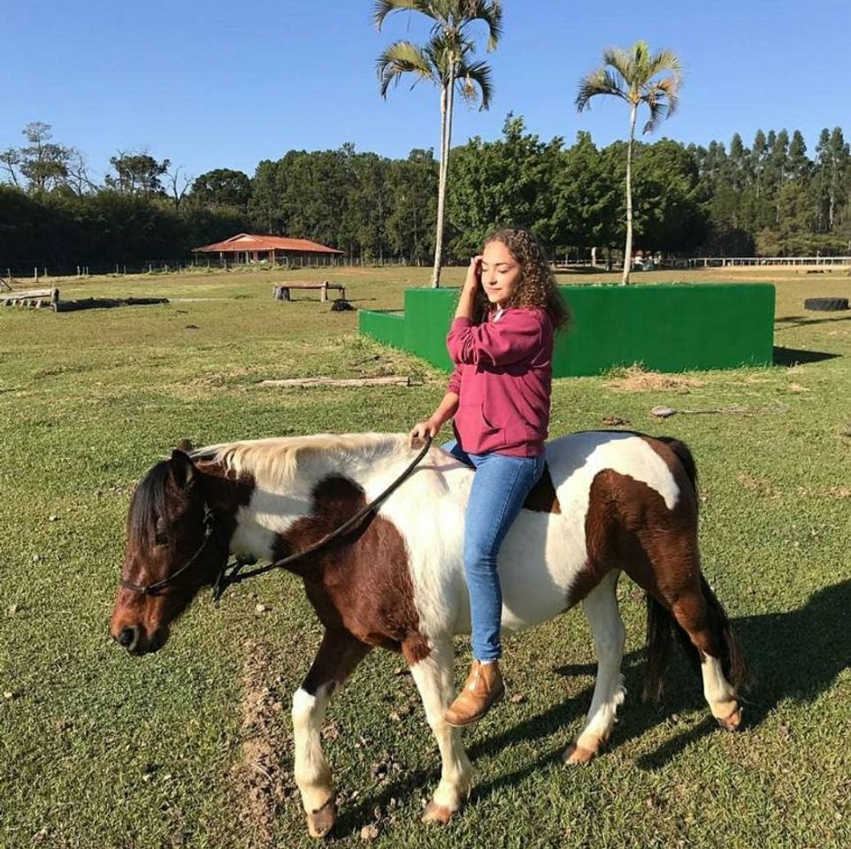 Moda Foto naturalzinha com cavalo 🐴