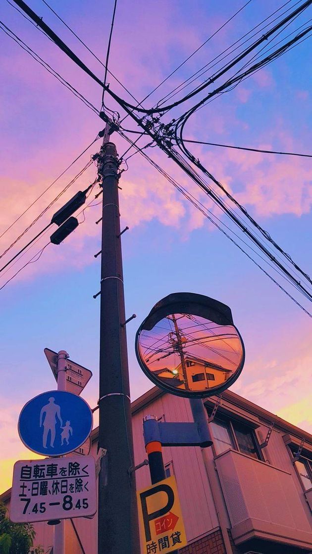 Social Viagens-Japão