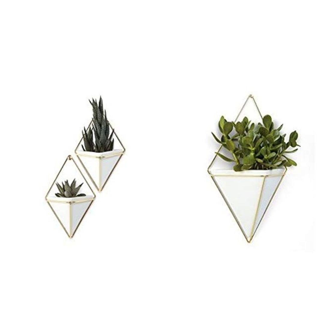 Social Trigg Hanging Planter Vase, Brass, Small