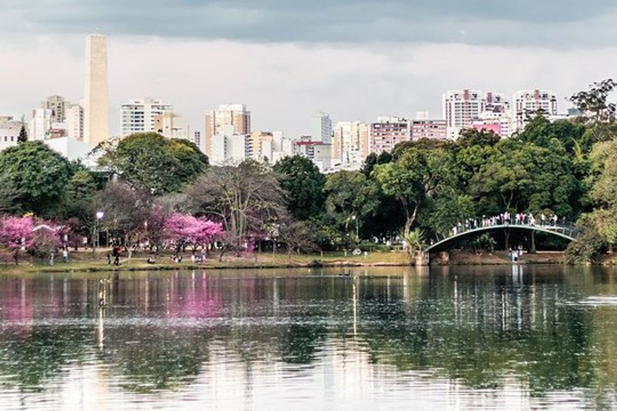 Lugar Parque Ibirapuera Conservação