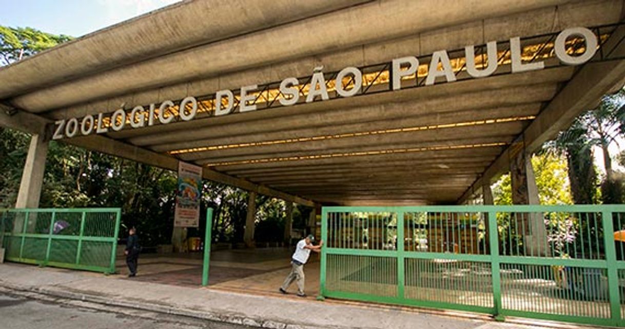 Lugar Zoológico de São Paulo