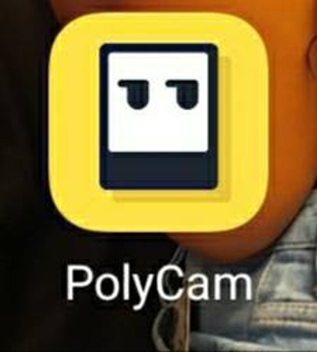 App POLYCAM