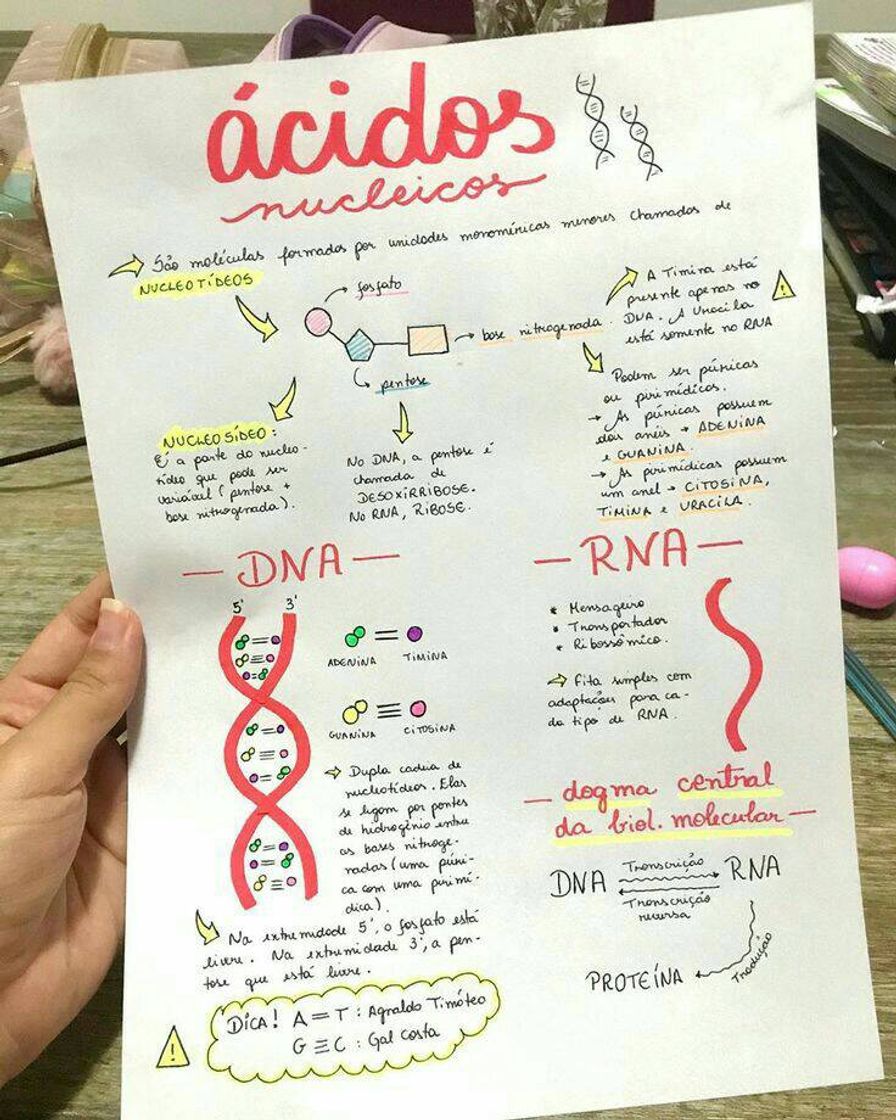 Moda Mapa mental 