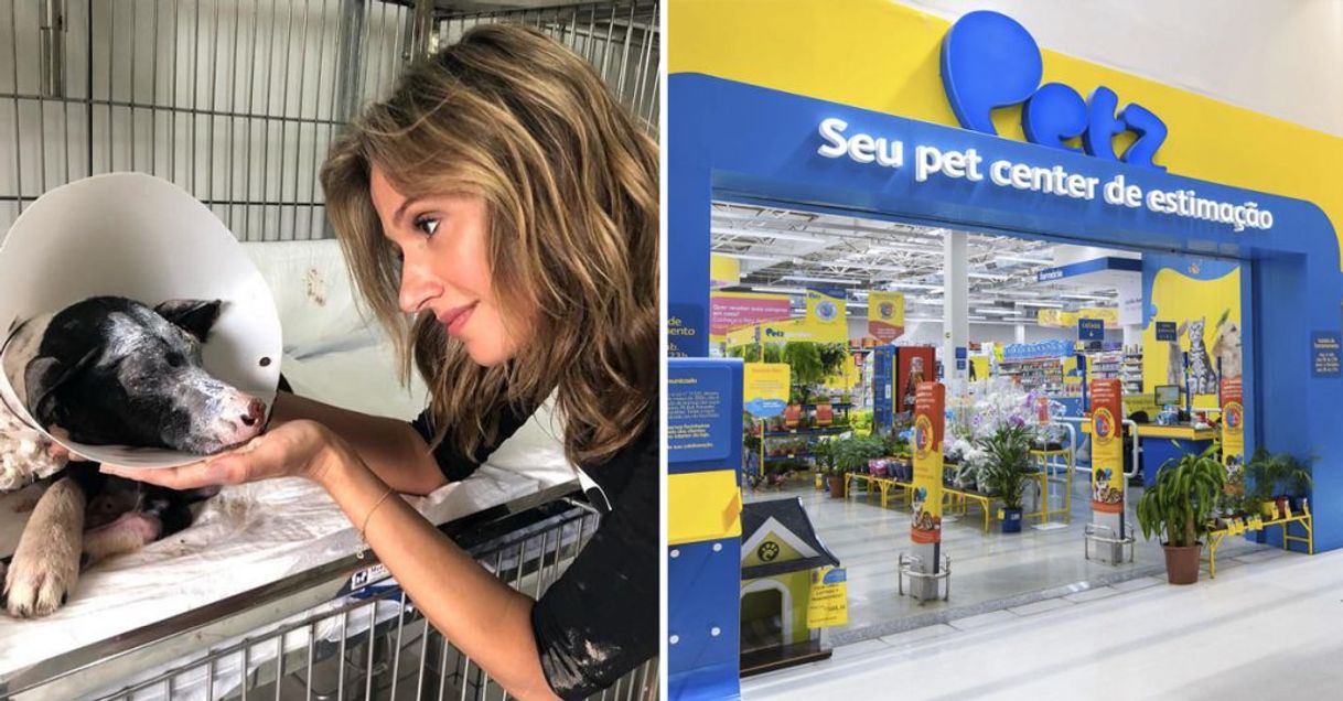 Fashion Pet Shop: Petz o maior pet shop do Brasil.