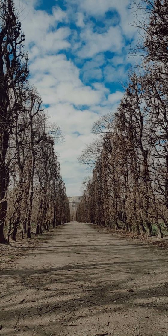 Lugar Augarten