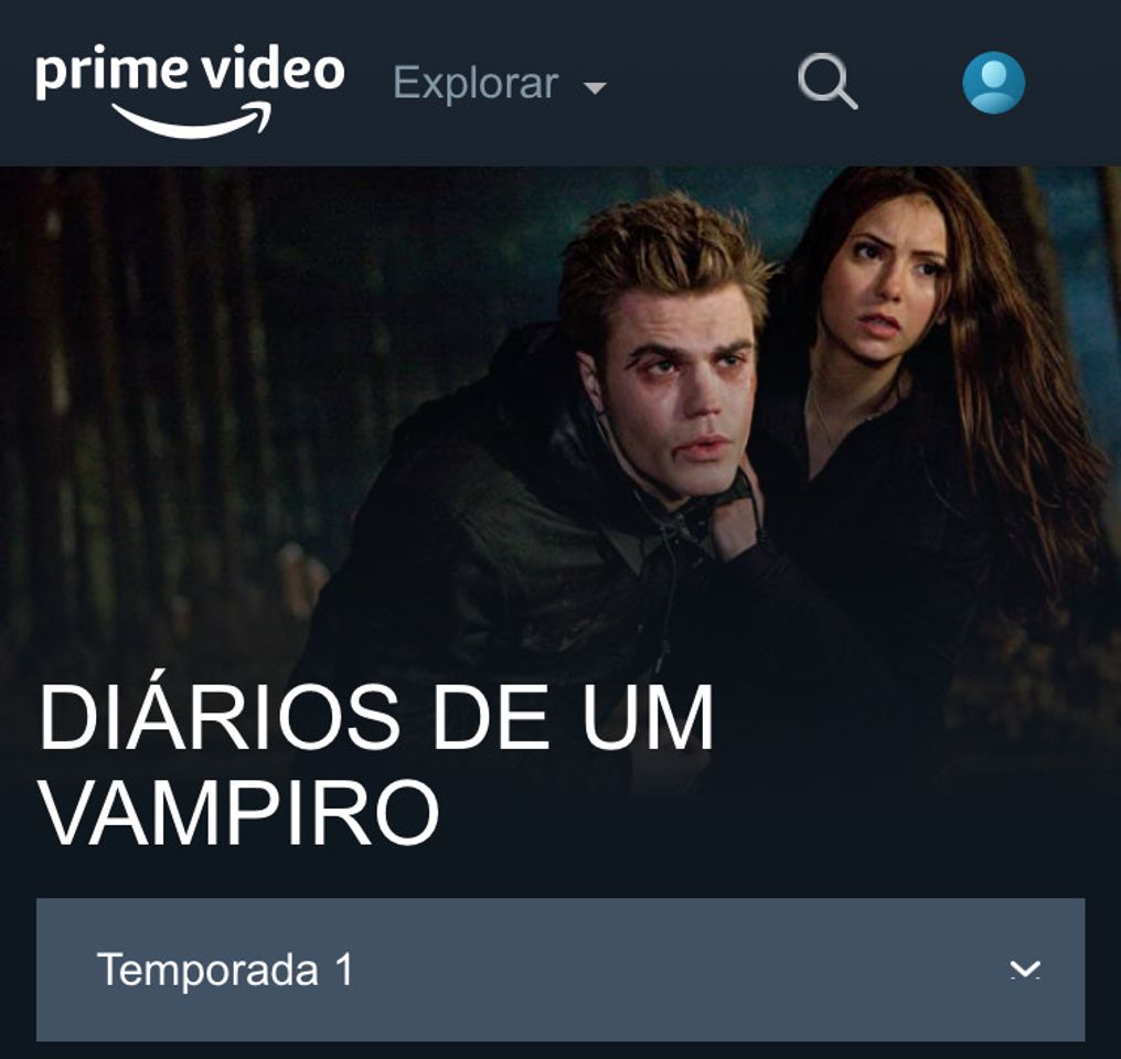 The Vampire Diaries (novel series)