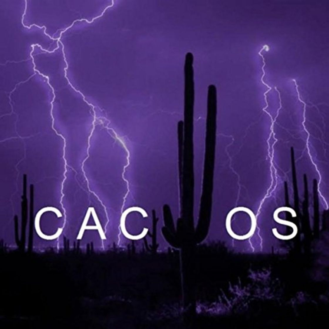 Productos Cactos