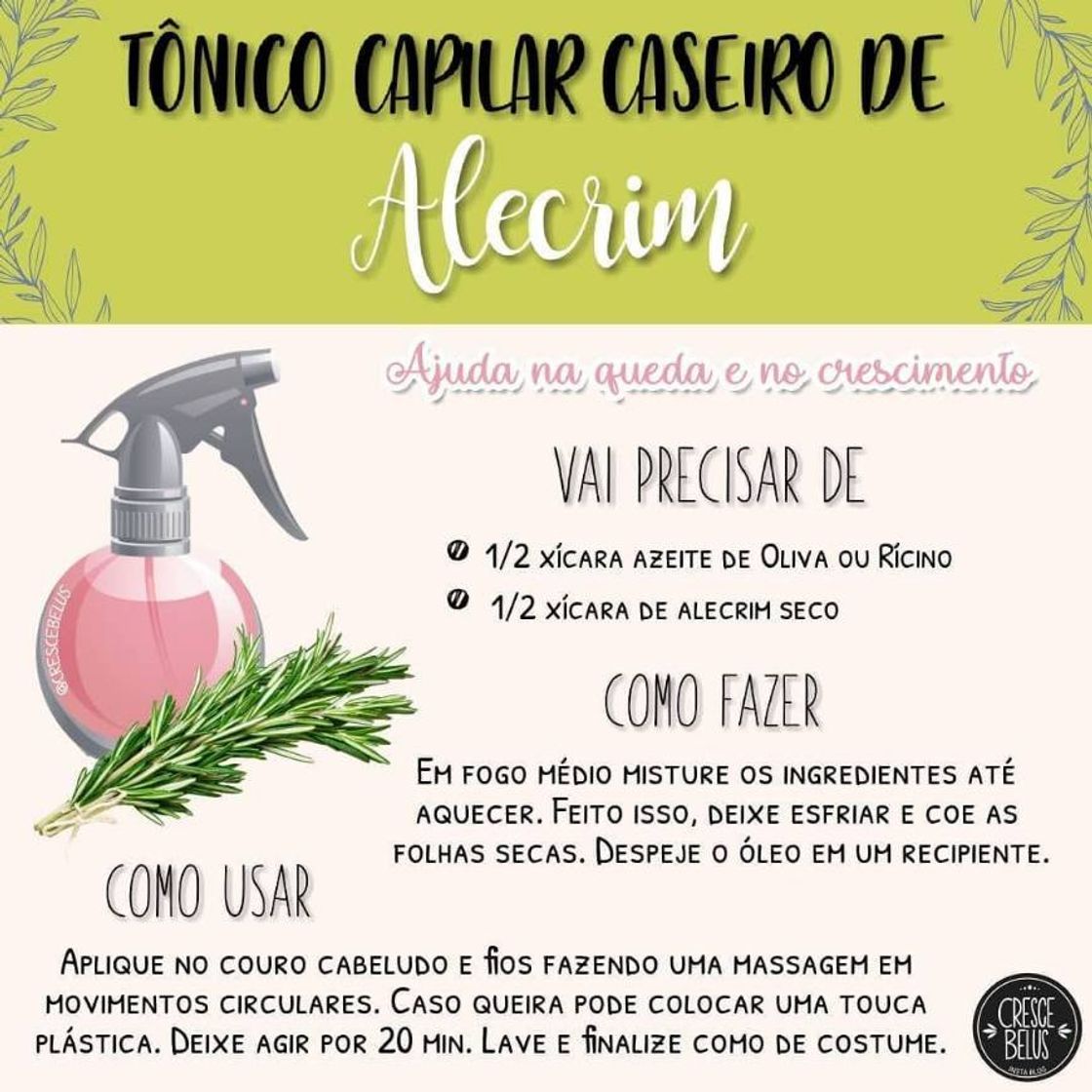 Moda Tônico de Alecrim Para Crescimento Capilar - Aprenda a Fazer e Usar