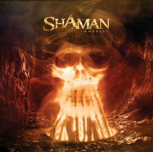 In the Dark - Shaman