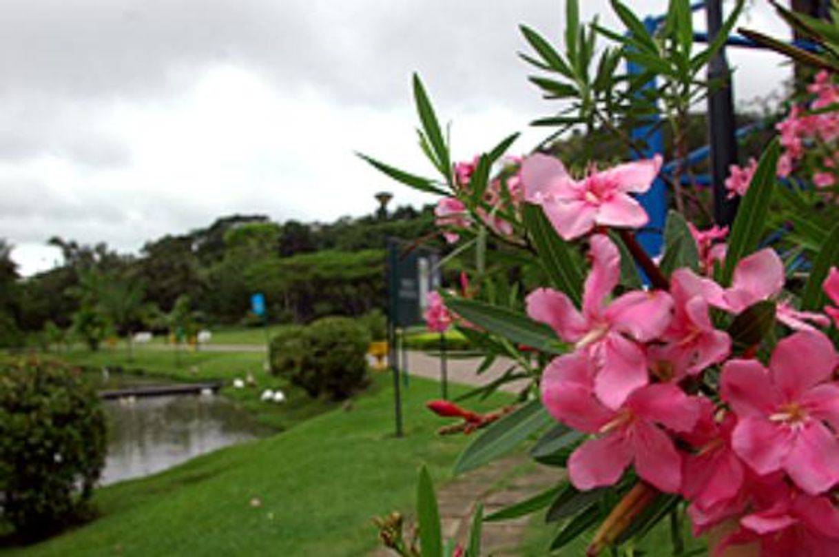 Lugar Parque Municipal do Horto de Maruípe