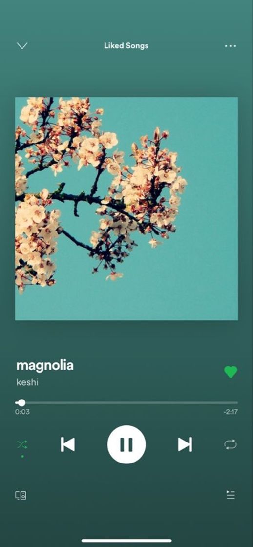 Canción magnolia