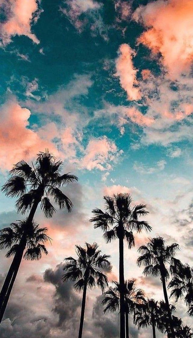 Fundo de celular 