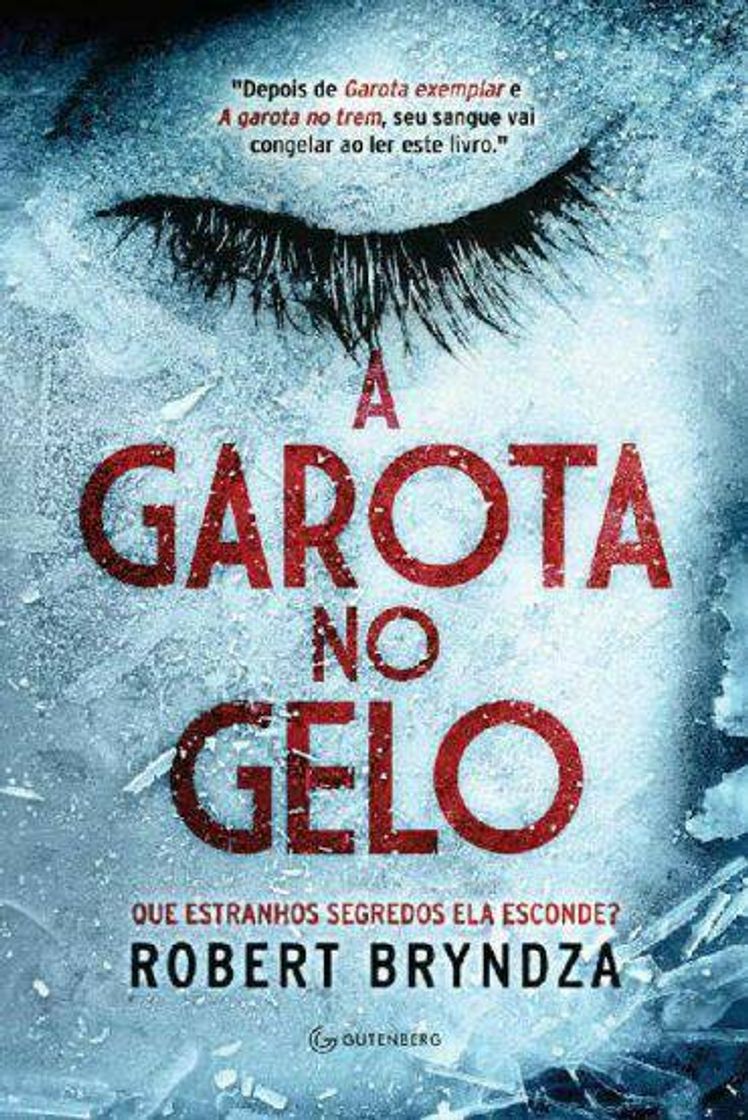 Book livro a garota no gelo