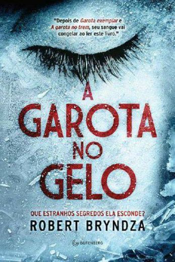 livro a garota no gelo