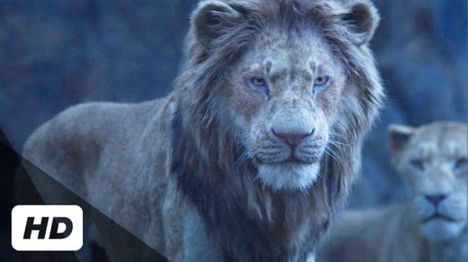 The Lion King (2019) | Super Scenes BluRay HD - YouTube