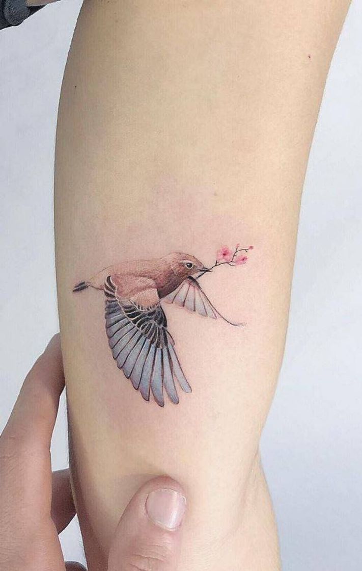 Moda Tattoo delicada 🌷