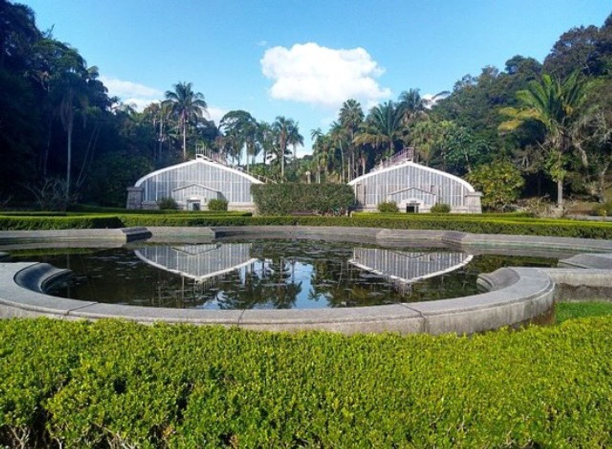 Lugar Jardim Botânico