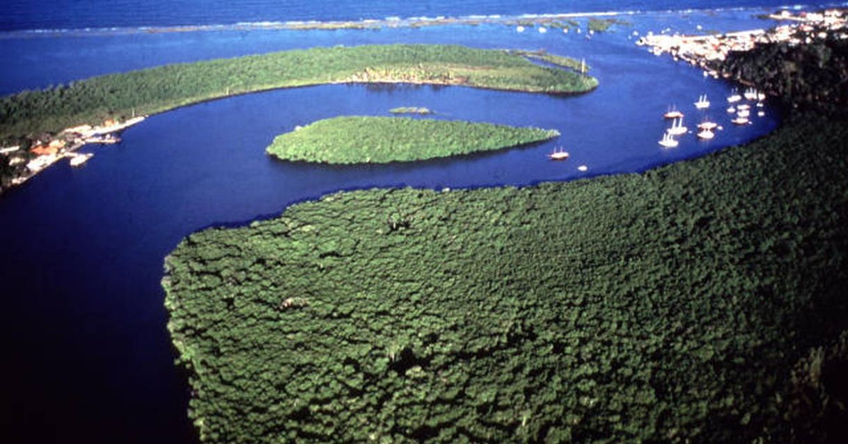 Social Discovery Coast Atlantic Forest Reserves