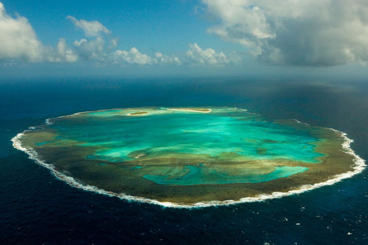 Fashion Brazilian Atlantic Islands: Fernando de Noronha/Atol Rocas