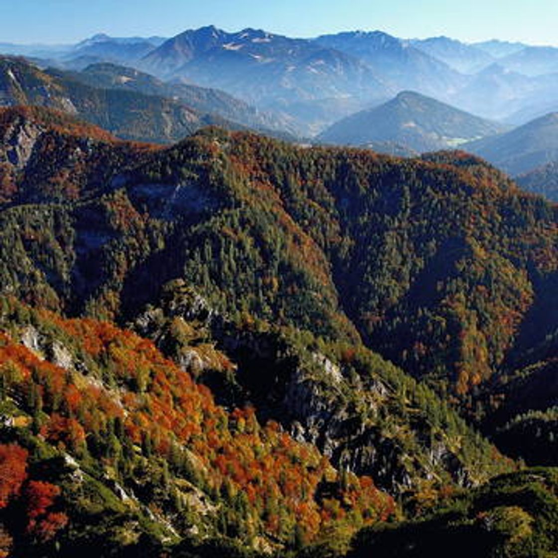 Moda Ancient and Primeval Beech Forests of the Carpathians