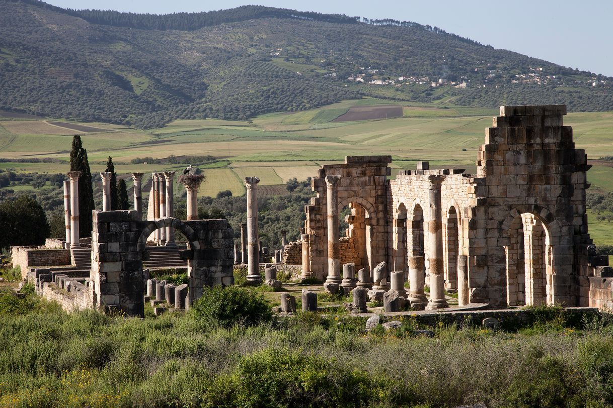 Moda Archaeological Site of Volubilis