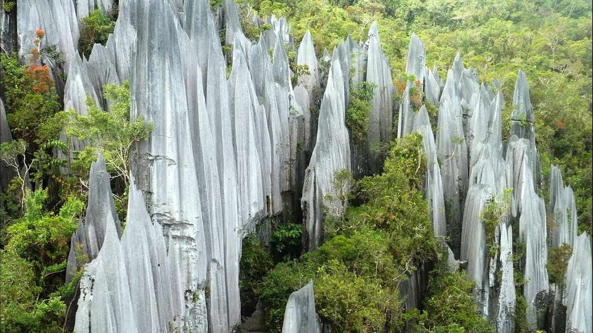 Moda Gunung Mulu National Park