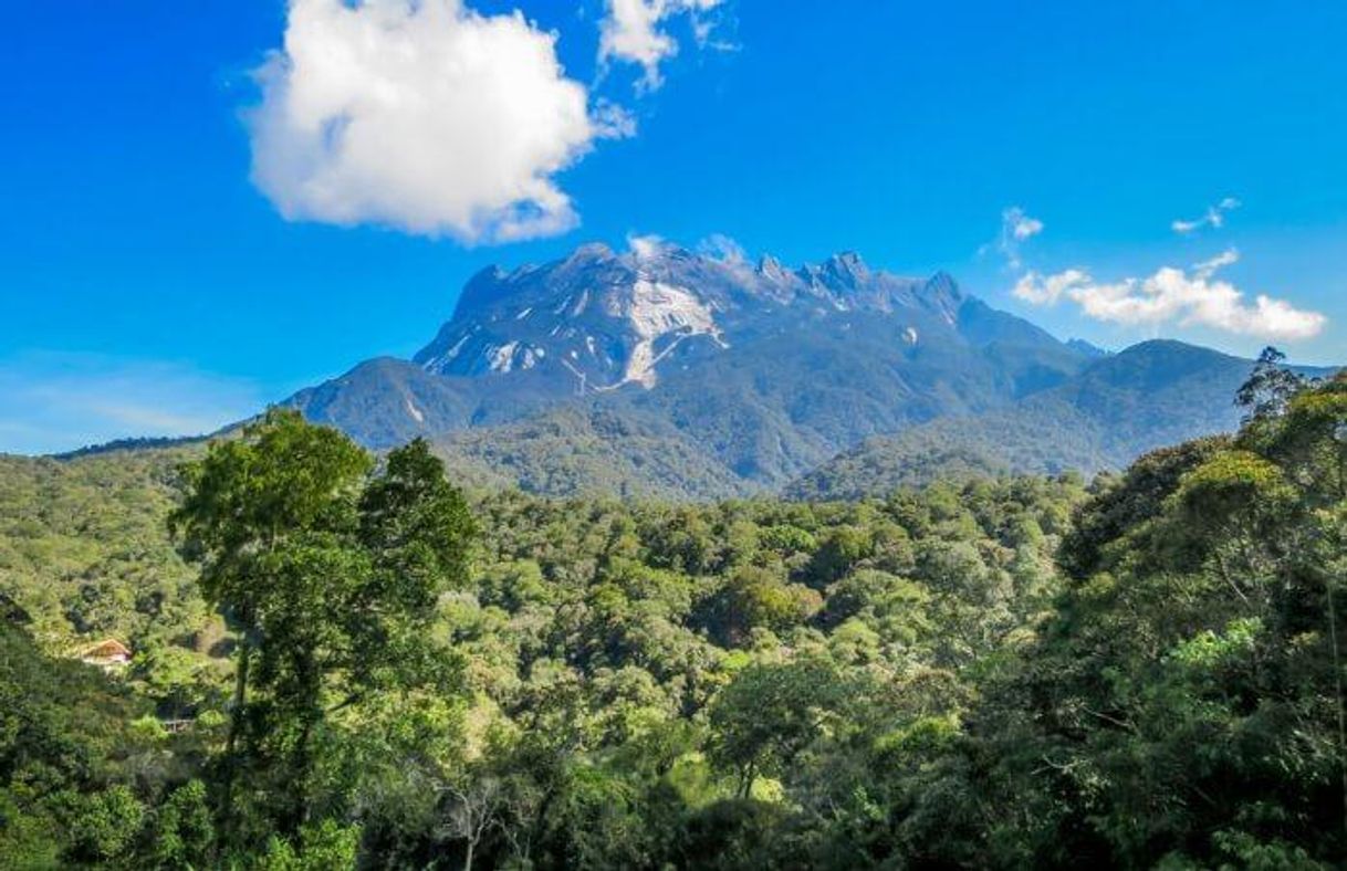 Moda Kinabalu Park