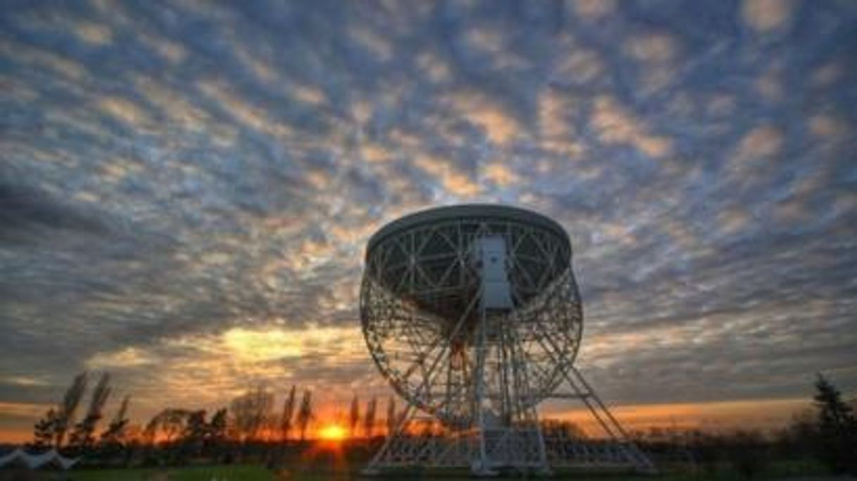 Moda Jodrell Bank Observatory