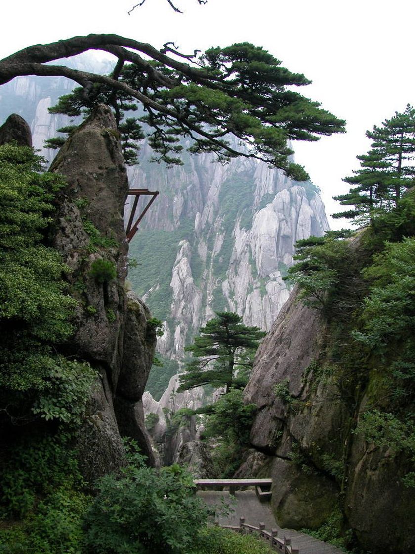 Fashion Mount Huangshan