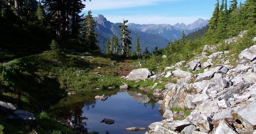 Olympic National Parks