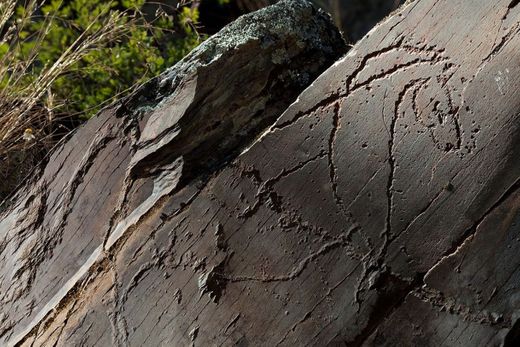 Prehistoric Rock Art Sites in the Côa Valley and Siega Verde