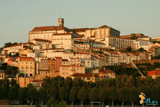 University of Coimbra Alta and Sofia