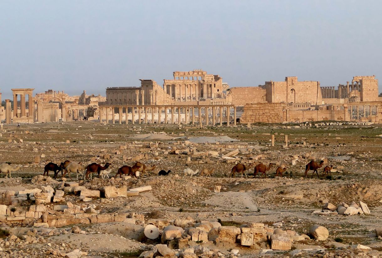 Fashion Site of Palmyra