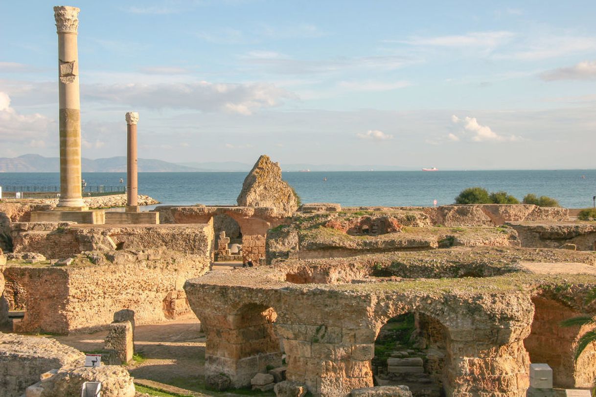 Fashion Archaeological Site of Carthage