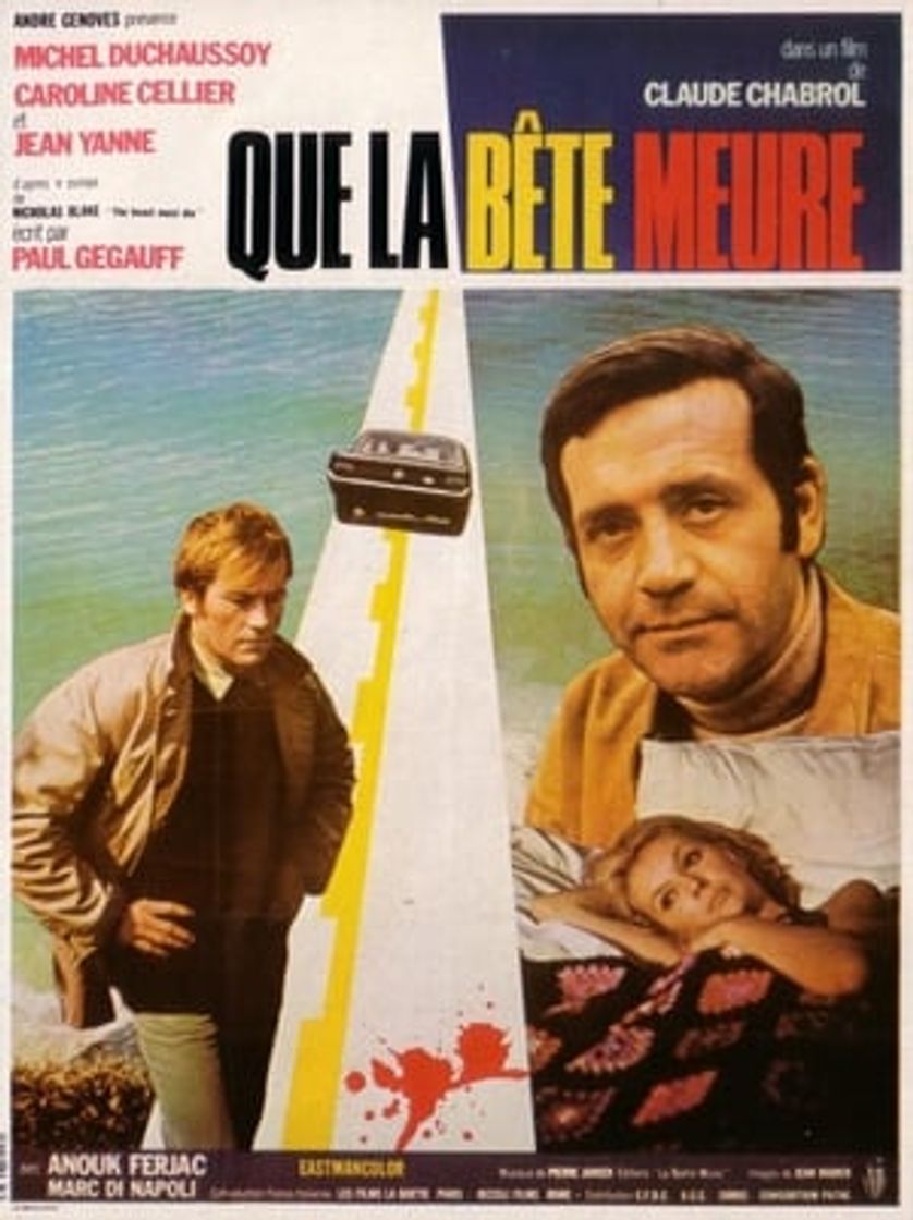 Película Accidente sin huella